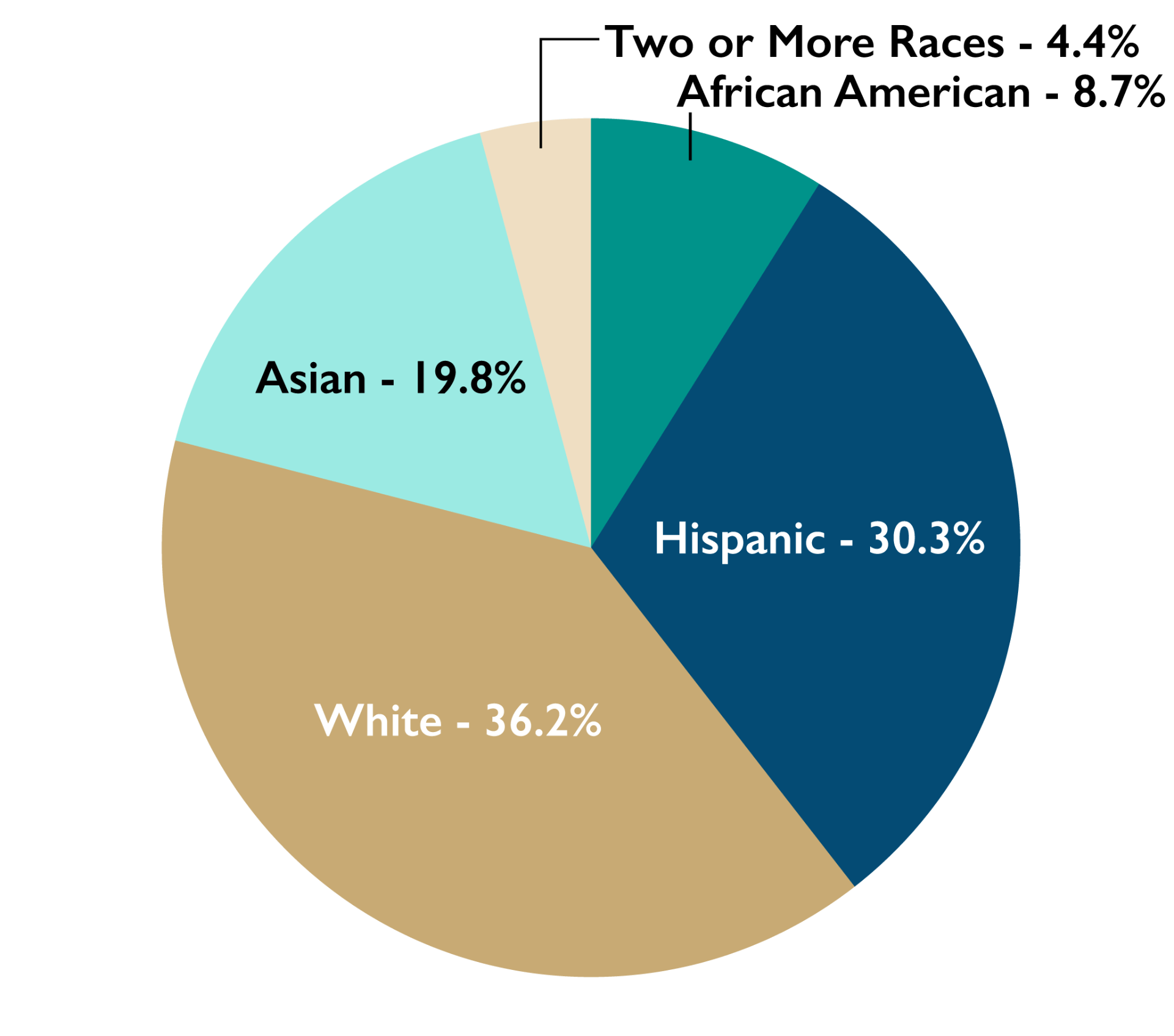 Ethnicity Pie Chart - African American 8.7%, Hispanic 30.3%, White 36.2%, Asian 19.8%, Two or more races 4.4%